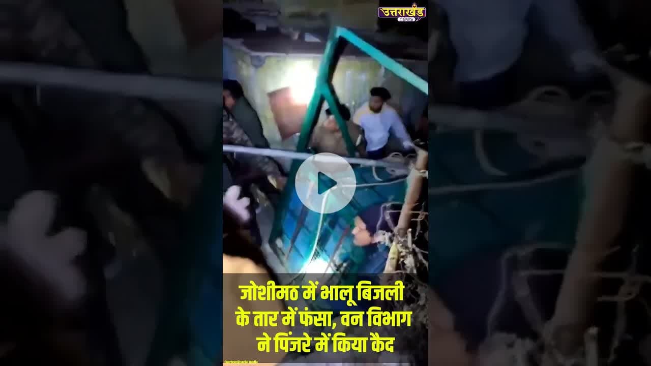 जोशीमठ में भालू बिजली के तार में फंसा, वन विभाग ने पिंजरे में किया कैद #bearattack #viralvideo