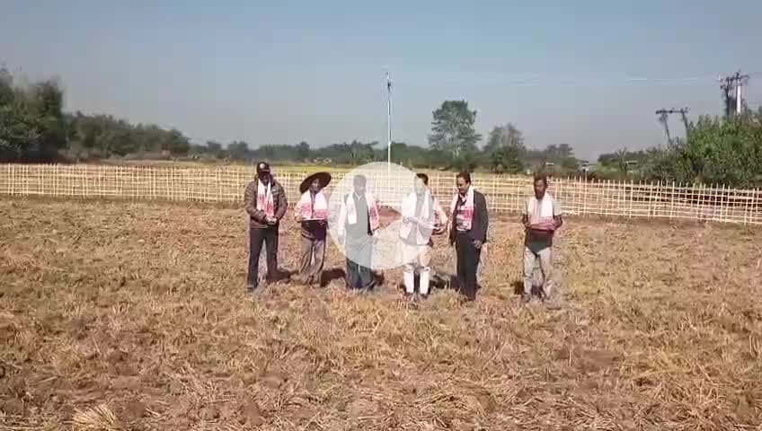 সোৱণশিৰি ভাগ: ঘিলামৰাত ২০ বিঘা মাটিত মটৰ,ৰাজমাহ আৰু দালি সিচাঁ কাৰ্যসূচী ৰূপায়ণ,উদ্বোধন বিধায়ক নৱকুমাৰ দলেৰ