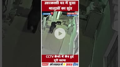 उत्तरकाशी घर में घुसा भालूओं का झुंड, CCTV कैमरे में कैद हुई पूरी घटना #BearAttack #CCTVFootage