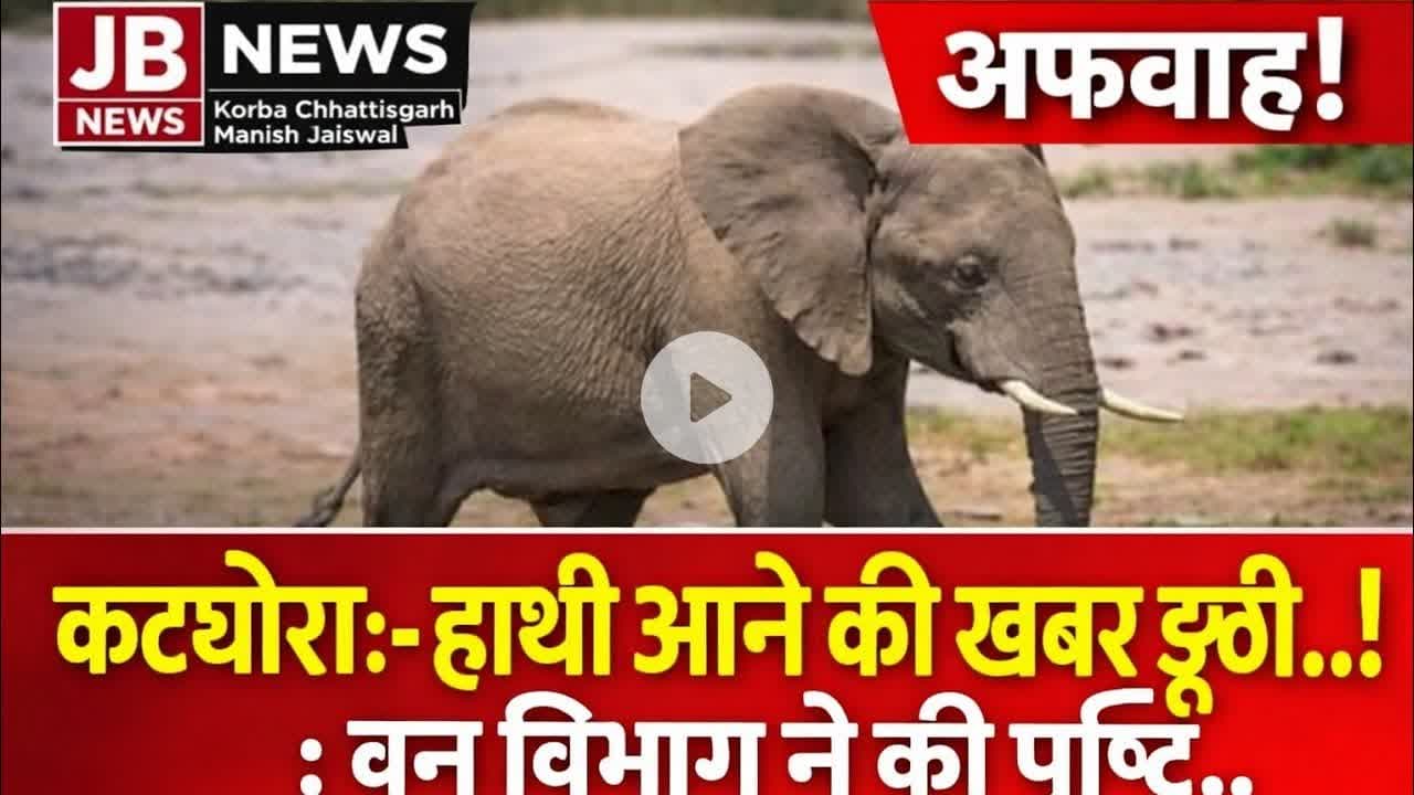 कटघोरा:-हाथी आने की खबर झूठी..! : वन विभाग ने की पुष्टि#❤️#jb#breakingnews #news #jbnews#