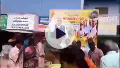 கே.வி.குப்பம்: கே வி குப்பம் பேருந்து நிலையத்தில் வாஜ்பாய் பிறந்தநாள் விழா அறக்கட்டளை சார்பில் மரக்கன்று வழங்கப்பட்டது