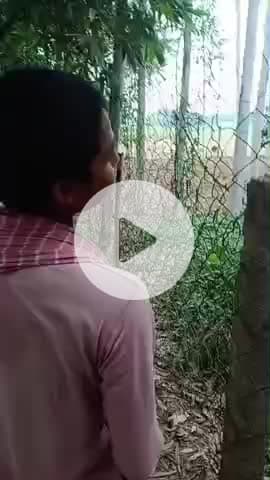 Gazipur ka ek Chhota Sa Gaon Sihani ka yah video hai dekhiae media walon Ko kya bol raha hai yah ladka
