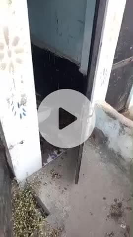 वर्ल्ड नंबर 15 कला भाटा @@@@@@@@@@@@@@@@@@@@@@@