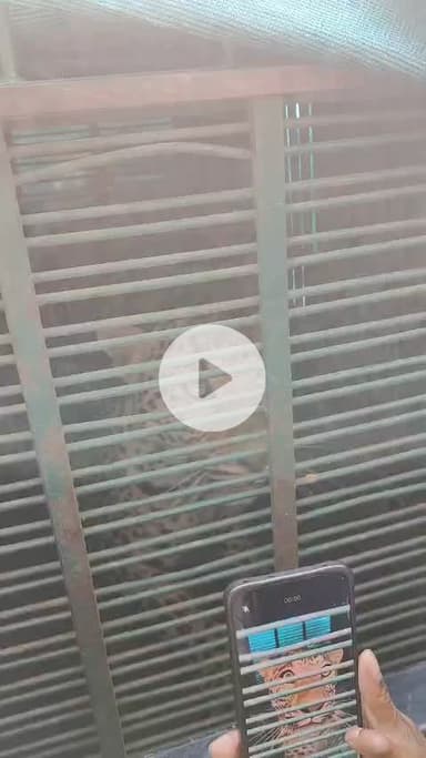 #लक्ष्मणगढ़ लक्ष्मणगढ़ के सिनवाली गांव के आस - पास मिले पैंथर के फूट मार्क्स .... वन विभाग में आम जन से सतर्क रहने की अप