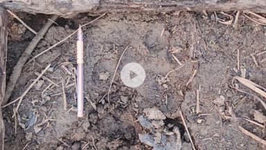 सतपुड़ा टाइगर रिजर्व के मढ़ई क्षेत्र का मामला नर तेंदुए की मौत पसली और रीढ़ की हड्डी टूटी#sh