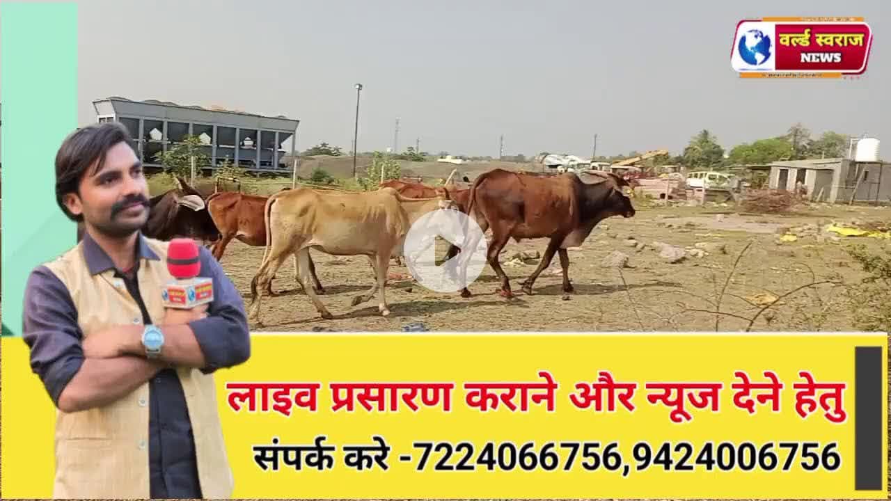 सिंगाजी धाम गौ भक्त की गाय सुनती है पुकार
#viral #news #shortvideos #trand #viralvideos #latestnew