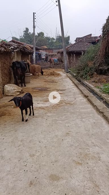 ग्राम जबलपुर थाना शेरघाटी में कुछ दबंग लोगों ने रास्ता रोक रखा है जिसका नाम शंकर यादव है और हमें 10 दिन से घर सेबाहर नि