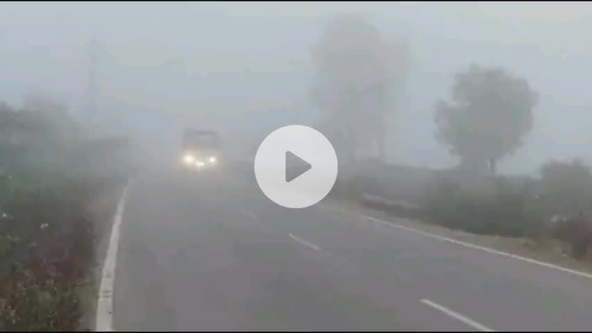 #IMD ने आज दिल्ली, हरियाणा, चंडीगढ़, पंजाब, यूपी, पूर्वी राजस्थान में घने कोहरे का ऑरेंज अलर्ट जारी किया।
#Weather #Fog