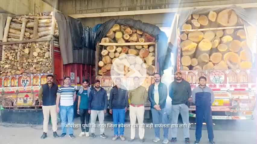 बिछीवाड़ा: गुजरात तस्करी के लिए जा रही अवैध गीली लकड़ी से भरे 3 ट्रक जब्त, वन विभाग को सौंपी गई जांच