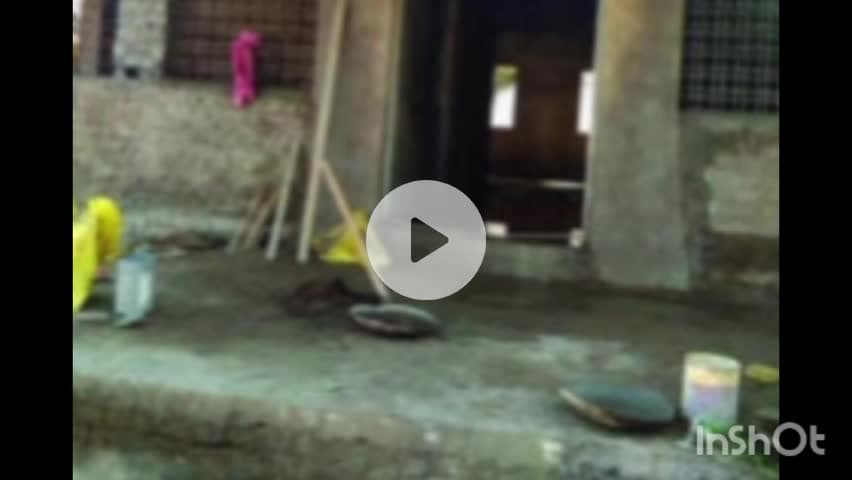 सिंदेवाही: वनविभागाच्या जागेवर ग्रामपंचायत भवनाचे बांधकाम,अनधिकृत बांधकामाच्या चौकशीची मागणी