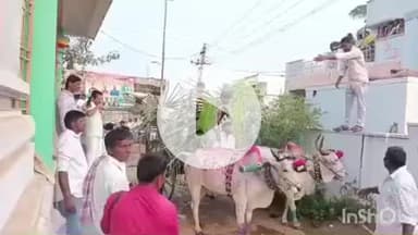 తాడూరు: తాడూరు మండలంలో సంక్రాంతి పండుగ సందర్భంగా ఎద్దుల బండ్ల ర్యాలీలు