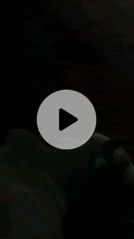 Bael sab Thanda mein bhi kam raha hai Thanda mein bhi kapda hai iske liye kya upay jaruri hai kitna Thanda badh gaya hai