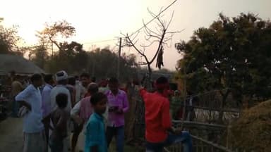 #जंगली_जानवर का कोहराम
