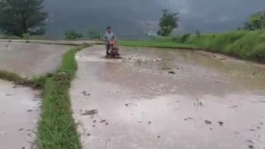डुंडा सहित पूरे उत्तराखंड में रोपाई के लिए खेत तैयार....#news #uttrakhand_news #farmerprotest