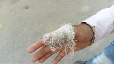 pakdo choro ko @#or unko kadi kadi se kadi saja di Jaye