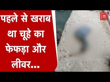 #rat mardar case wah hamaara up ma chuha bhi moj ma ji raha
