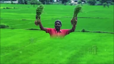 जैविक खाद से लहलहा रहीं
फसलें भी और जीवन भी
#CGModel #NYAYKe4Saal #GodhanNyayYojana
#AgriCgGov