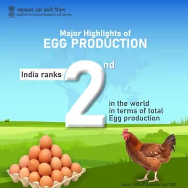 #DoYouKnow?
India secures the 2nd position worldwide in egg production. Our farmers' dedication and hard work continue to significantly better our performance on the global stage!