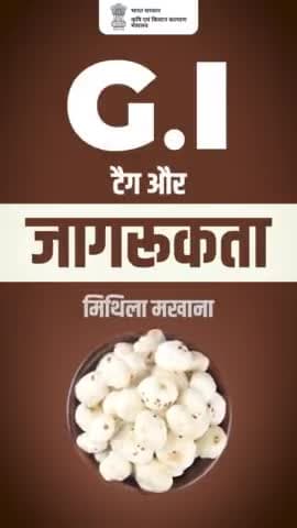 जीआई और जागरूकता!
.
मिथिला मखाना को जीआई टैग कब मिला और क्यों? आइए जानते हैं इस वीडियो में..
#agrigoi #mithilamakhana #GITag