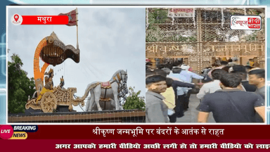 Mathura News: #बंदरों के #आतंक से राहत, श्रीकृष्ण #जन्मस्थान सेवा संस्थान ने शुरू की अनोखी पहल
#मथुरा
