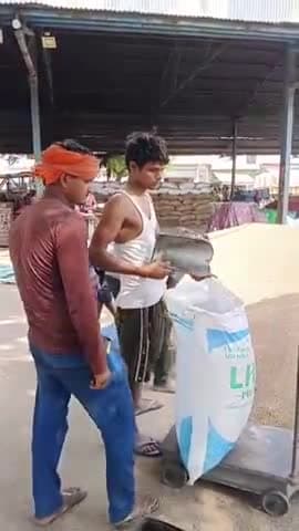 गुरुग्राम मंडी में बाजरे की आवॉक शुरू 1 अक्टूबर से होगी सरकारी खरीद बाजरे की एम एस पी 2775