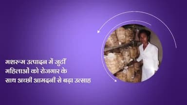 मशरूम से महिला सशक्तिकरण
#cgmodel #womenempowement #exhibition #mushroomfarming