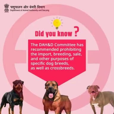 important Update: The DAH&D Committee's recommendation could have significant implications for specific dog breeds and crossbreeds. #dogbreeds #safteyfirst