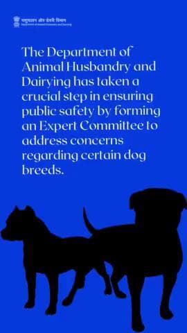 Expert Committee Identifies Potentially Dangerous Dog Breeds: Department of Animal Husbandry Prioritizes Public Safety with Comprehensive Evaluation and Urges Community Support. #dogbreeds #safteyfirst