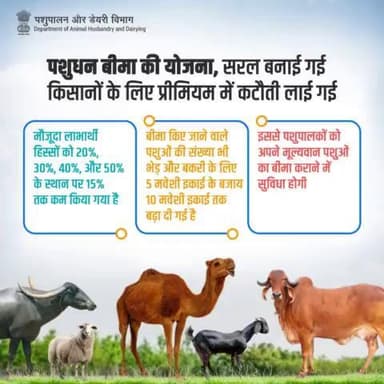 राष्ट्रीय पशुधन मिशन के अंतर्गत, पशुधन बीमा कार्यक्रम को सरल बनाने का प्रयास किया गया है। किसानों के लिए प्रीमियम का लाभार्थी हिस्सा कम किया गया है और यह मौजूदा लाभार्थी हिस्सों के लिए 20%, 30%, 40% और 50% के मुकाबले 15% होगा। #Fodder