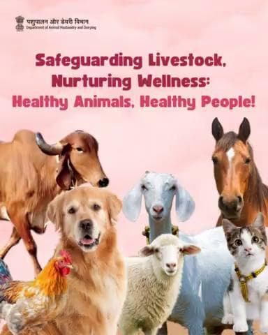 Promoting well-being from hoof to hand: Our commitment to nurturing healthy animals for the benefit of all. #OneHealth #biosecurity #healthylivestock