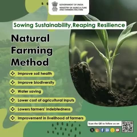 Sow Sustainability, Reap Resilience
#NaturalFarming minimizes synthetic inputs, relying on natural processes for #soilhealth and crop vitality, resulting in reduced costs, improved fertility, enhanced biodiversity, and more.