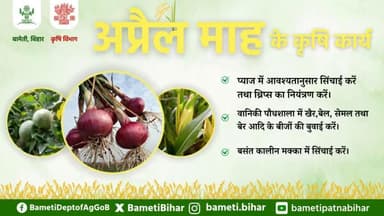 अप्रैल माह के कृषि कार्य🌾🌿
किसान भाइयों एवं बहनों के लिए आवश्यक सूचना📢
#bametibihar #agriculture