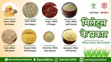#मिलेट्स की खासियत ये है कि वे कम उपजाऊ भूमि में भी उगाए जा सकते हैं। इनकी अच्छी पैदावार के कारण शुष्क क्षेत्रों के किसानों के लिए ये अच्छा विकल्प है।ये अन्य अनाजों की तुलना में कम पानी और उर्वरकों से भी अच्छी पैदावार देती हैं।
#Millet