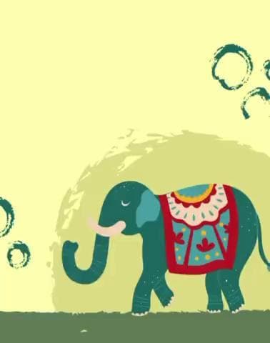 Elephants are one of the cutest and most friendly animals on the planet and we must keep them safe.
#savetheelephant #wildlife #elephants