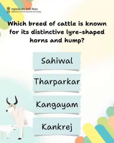 Which breed of cattle is known for its distinctive lyre-shaped horn and hump?
#cattle #livestock #indigenousbreed #quiz
✅ Comment your answer below.