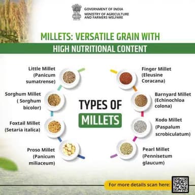 Millets are a versatile grain known for their nutritional density, gluten-free nature, and adaptability to various climates, offering a range of culinary possibilities.
#agrigoi #Millets #IYM2023 #ShreeAnna