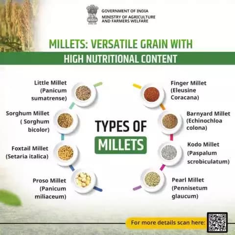 Millets are a versatile grain known for their nutritional density, gluten-free nature, and adaptability to various climates, offering a range of culinary possibilities.
#agrigoi #Millets #IYM2023 #ShreeAnna
