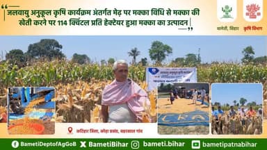 मक्के की खेती के लिए कृषि विभाग, बिहार सरकार कर रहा किसानों को प्रोत्साहित 🌽
#Maize #Corn #Agriculture