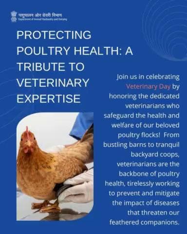 Let's honor the veterinarians who safeguard our poultry flocks, ensuring their health and happiness! #VeterinaryDay #PoultryHealth #worldveterinaryday