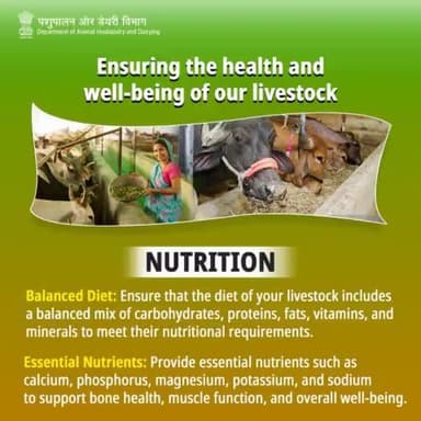 Optimize your livestock's nutrition for optimal health and performance. 
 #LivestockNutrition #AnimalHealth