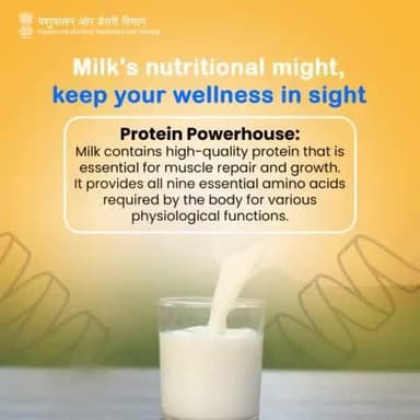 Milk is Super for Muscles!
Did you know it's packed with protein?
That helps muscles grow and fix themselves. Cool, right? #Milk #Protein #milkproducts