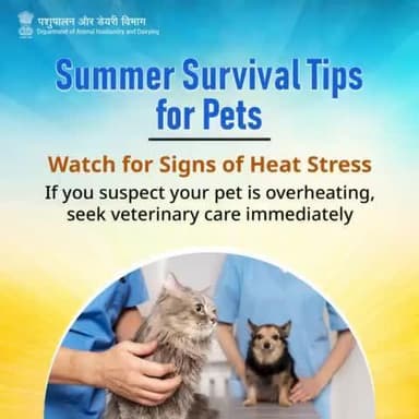 Know the signs, save a life!
Watch for symptoms of heat stress in pets: panting, drooling, weakness. If you suspect heatstroke, act fast—seek vet care immediately.
#LivestockHeatRelief #summersurvivaltips