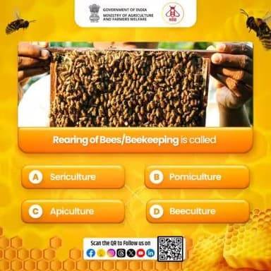 Take this #WorldBeeDay Quiz & Test your Knowledge!
.
Rearing of #Bees/#Beekeeping is called?
Comment down your answers & let us know.