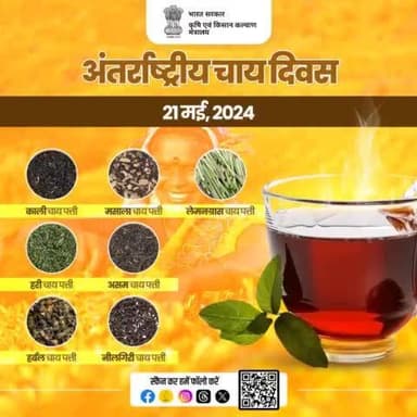 अंतर्राष्ट्रीय चाय दिवस का उद्देश्य चाय के इतिहास, उत्पादन, खपत और स्वास्थ्य लाभों सहित इसके विभिन्न पहलुओं के बारे में जागरुकता बढ़ाना है। ऐसे में आइए जानते हैं भारत की सबसे मशहूर चाय पत्तियां..
#agrigoi #InternationalTeaDay #Tea