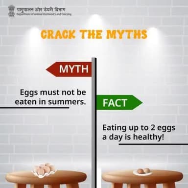 Crack the myths and enjoy your sunny side up!
#EggBenefits #Health #Nutrition #eggs