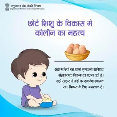 अंडे में दिमाग बढ़ाने वाले पोषक तत्वों में कोलीन, विटामिन बी12 और प्रोटीन शामिल हैं। कोलीन छोटे शिशु के मस्तिष्क के सामान्य विकास के लिए विशेष रूप से महत्वपूर्ण है ।
#EggBenefits #Health #Nutrition #eggs