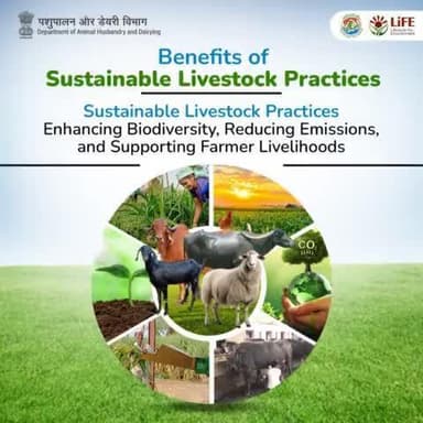 Discover the advantages of sustainable livestock practices: enhancing biodiversity, reducing emissions, and supporting farmer livelihoods. #WorldEnvironmentDay #SustainableLivestock
#MissionLiFE #Biodiversity #FarmerSupport
