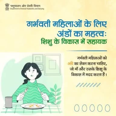 अंडों में प्रोटीन, विटामिन डी जैसे कई पोषक तत्व होते हैं, जो गर्भावस्था के दौरान मां और शिशु के स्वास्थ्य के लिए अत्यंत आवश्यक होते हैं।
#EggBenefits #Health #Nutrition #eggs