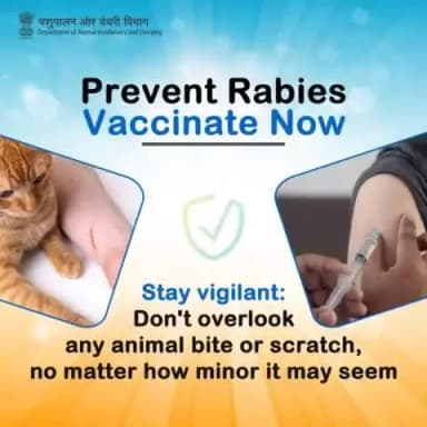 Stay vigilant against rabies!
Don't ignore any animal bite or scratch, even if it seems minor. Take every bite seriously and seek medical attention promptly. Prevention starts with awareness. #PreventRabies #StayVigilant