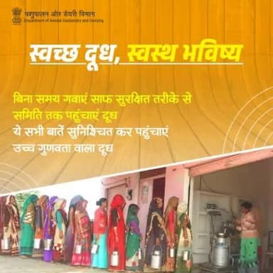 दुग्ध समिति में दूध लाने के लिए साफ स्टेनलेस स्टील के बर्तन या कैन का उपयोग करें। दुग्ध दोहन के पश्चात् जल्दी से जल्दी दूध को समिति में पहुंचाया जाना चाहिए ताकि जीवाणुओं की संख्या में वृद्धि को रोका जा सकें। #AnimalCare #hygiene